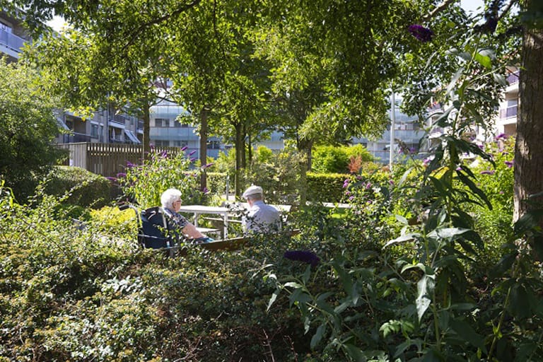 de hoven ┬® huub visser typo dynamo imgl x