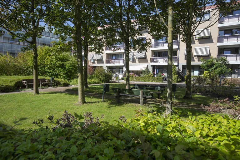 de hoven ┬® huub visser typo dynamo imgl