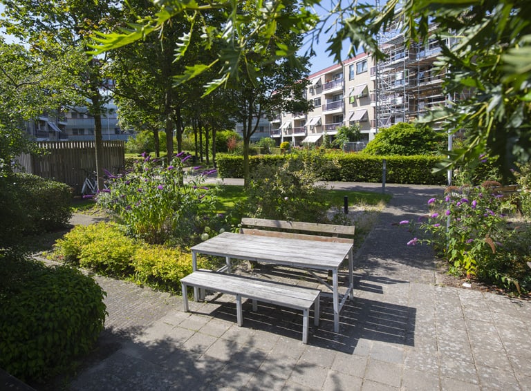 de hoven ┬® huub visser typo dynamo imgl